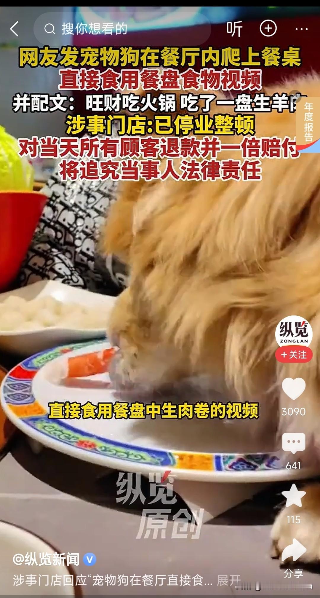 人和狗同桌用一套餐具吃饭不知道周围的人会怎么想？搞不搞这条狗刚舔了那条狗屁股。反