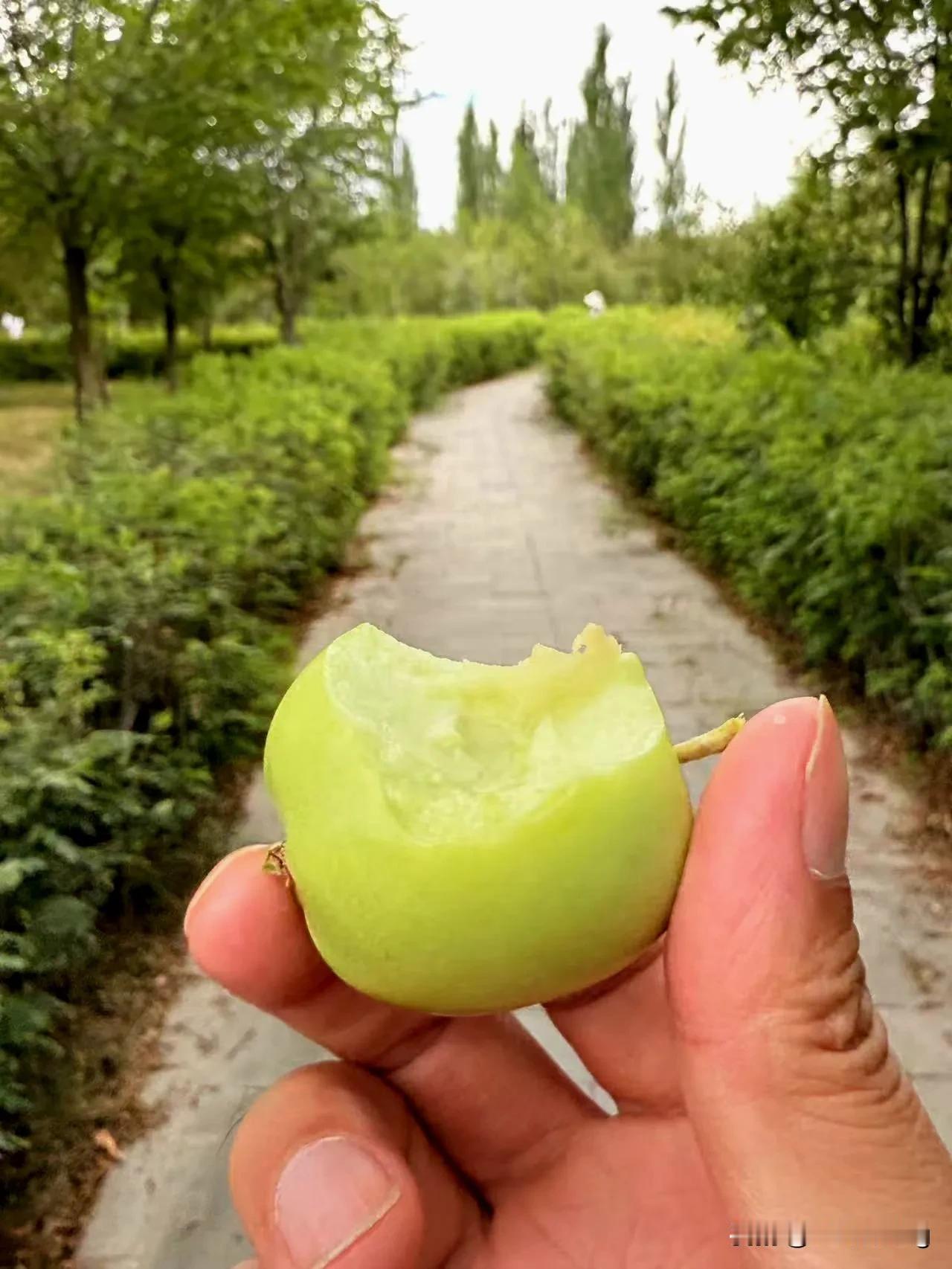 如果你让一个资深车迷说真话，那我就告诉你吧，我的真话就是很多人都以为汽车市场是内