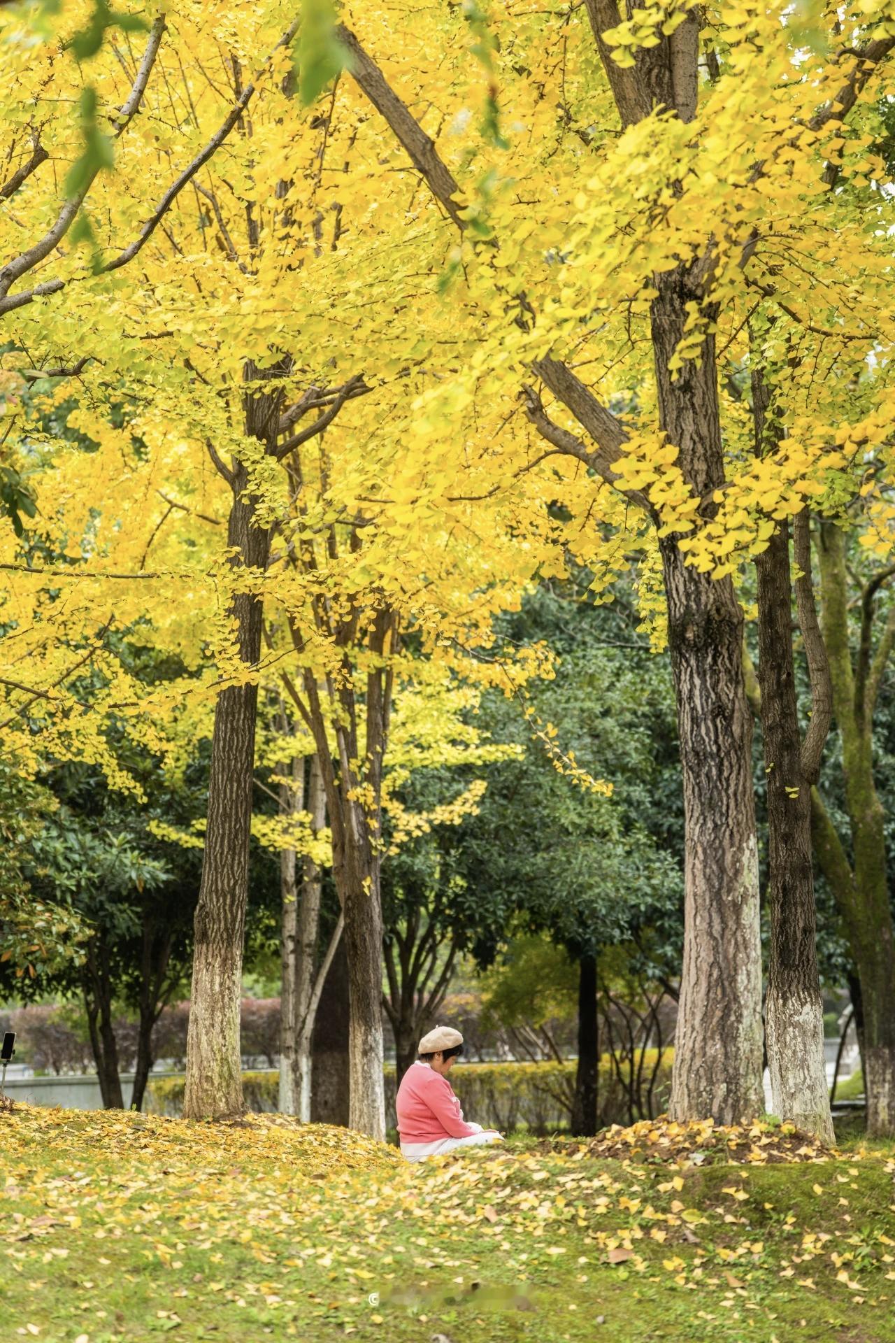 【别人的对错，无需你盖章；自己的心情，才值得滋养】
        生活里，很多