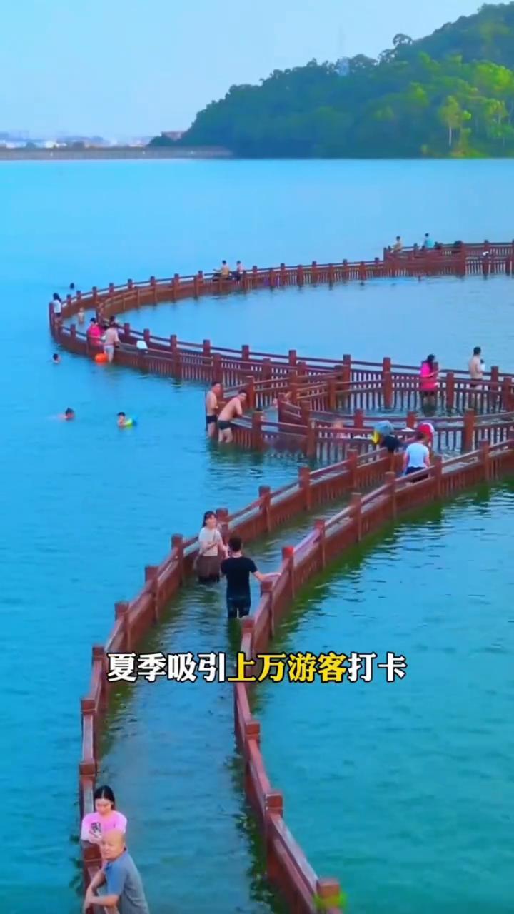 这老板创意十足，仅将水面抬高十公分，夏季吸引上外游客打卡。他在水中打造了一条沉水
