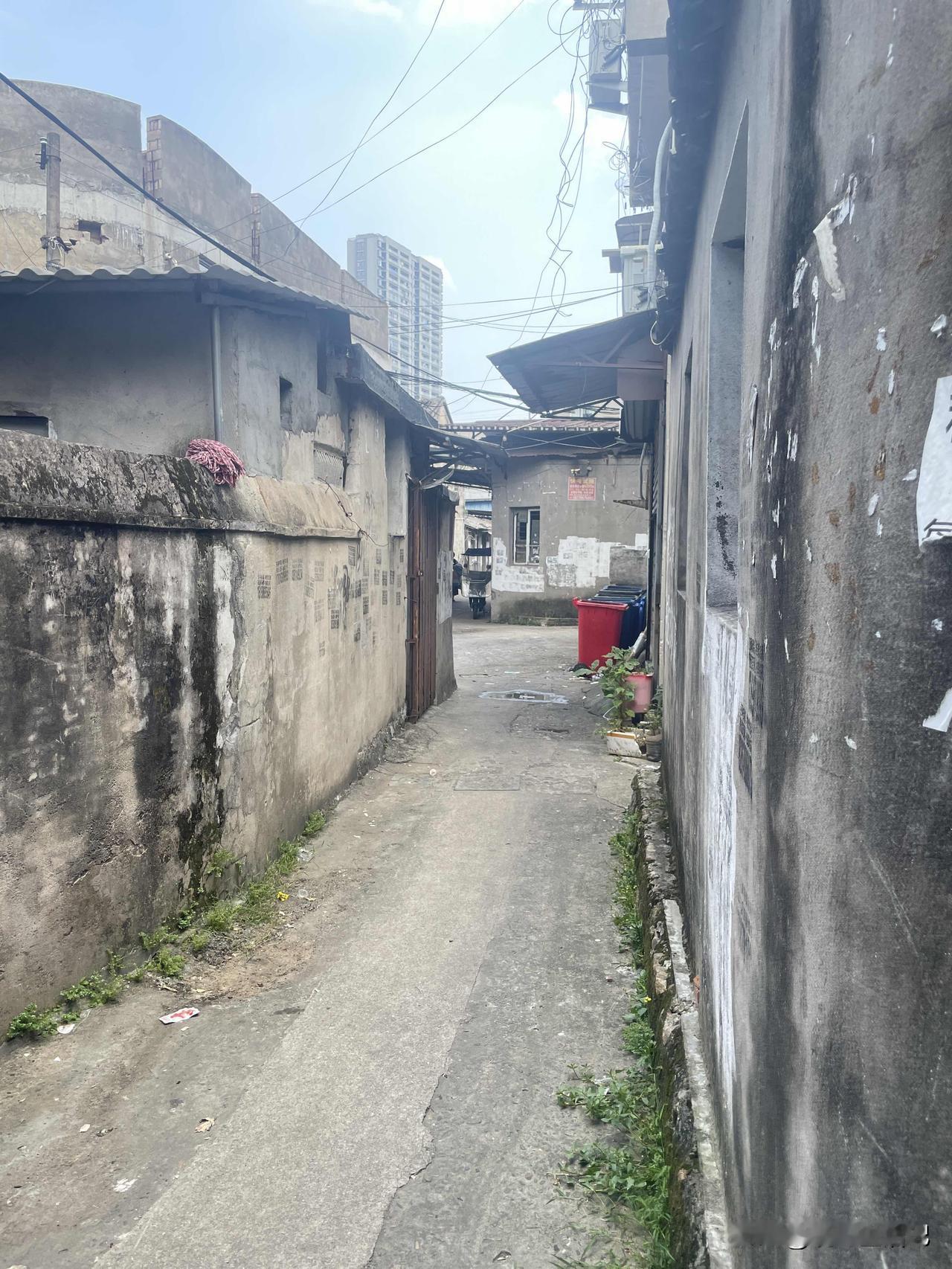 温州农村实拍，晒晒你老家是什么样子的呗。