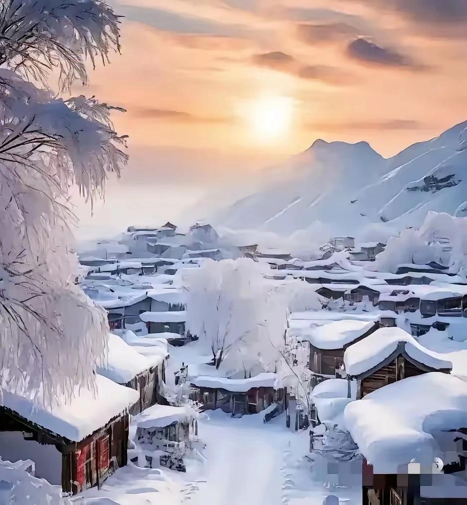 霜凝野径千丛素
余晖映出一片锦