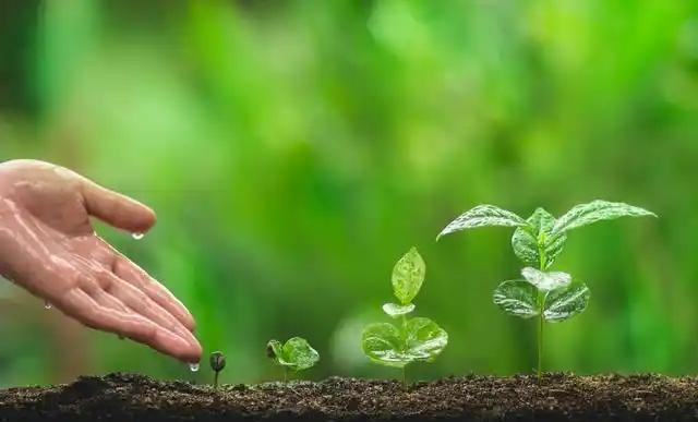 半由天定，半在人为。
人要在遵循自然规律的前提下，去改变自己的观念，修正自己的行