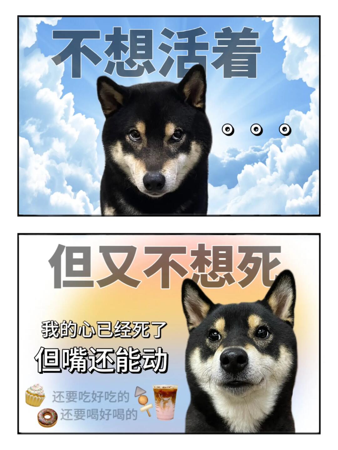 表情包|精神状态良好🥴