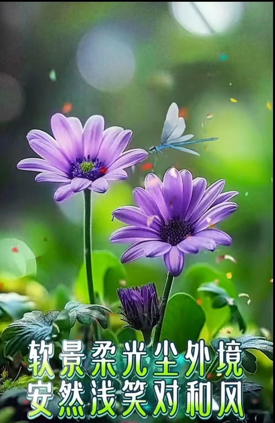 什么是幸福？
真正的幸福，从来不靠外在的面子撑场面，日子过得如何，唯有自己冷暖自