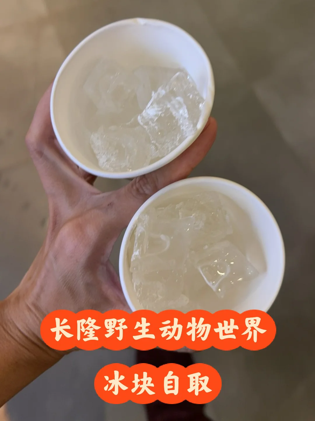 长隆野生动物园7月11日取冰块