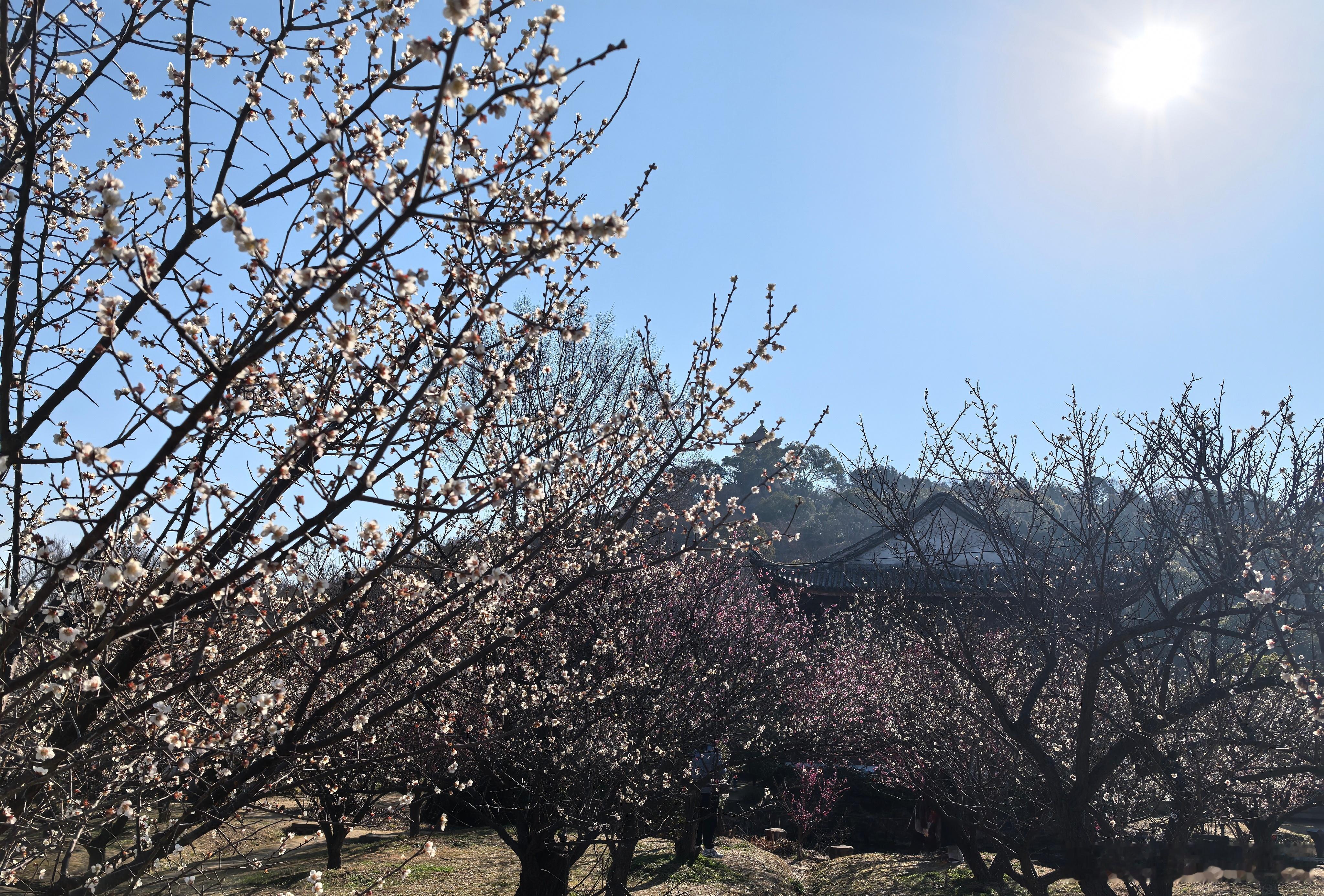 心里话        学会看淡，生命才能恬淡自在；学会看透，世界才能明澈清晰；学
