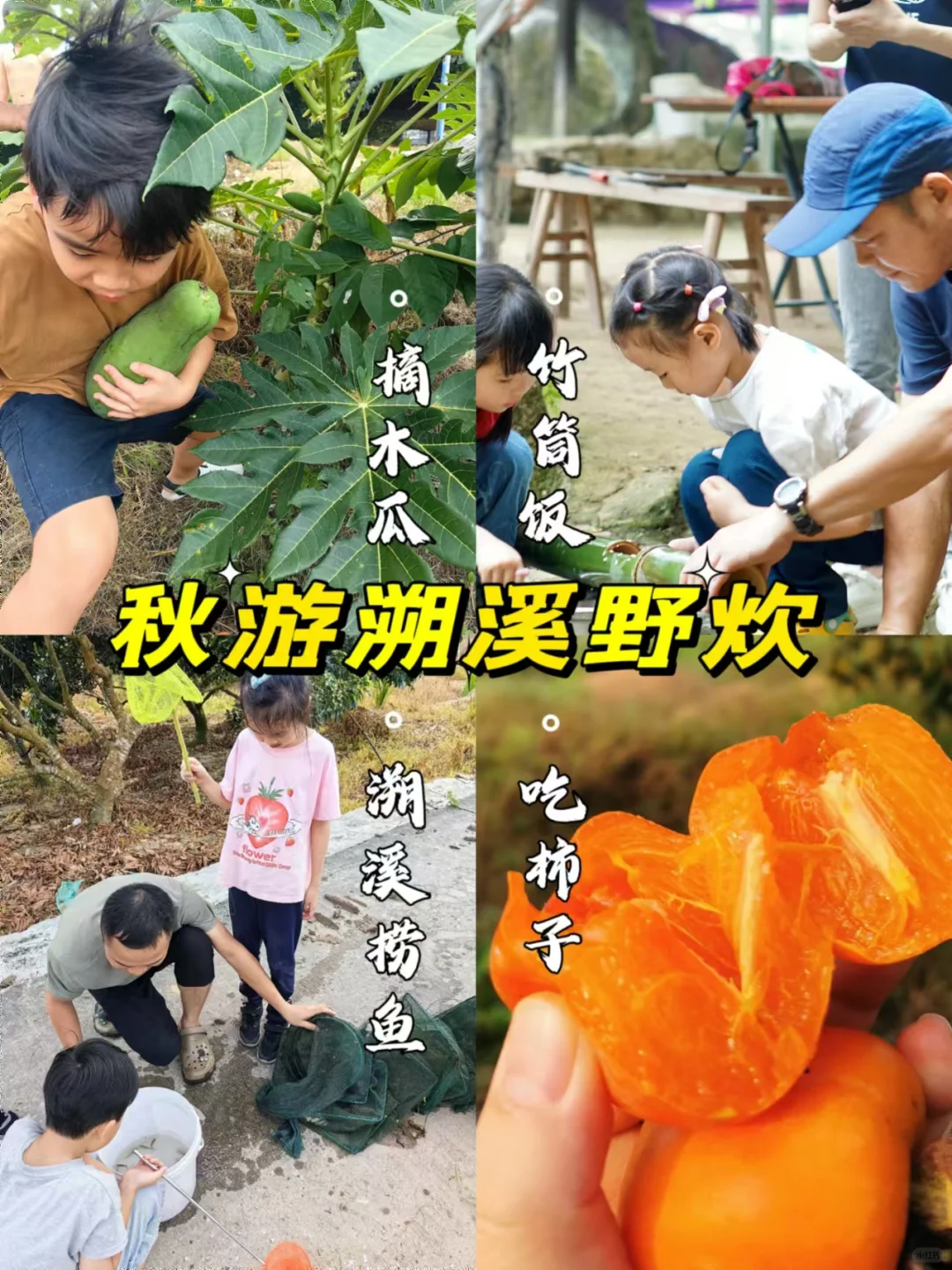从化秋游｜做竹筒饭、溯溪捞鱼、摘柿子木瓜