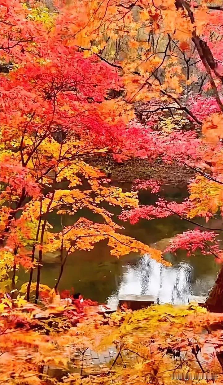 秋天的色彩#秋日旅行#