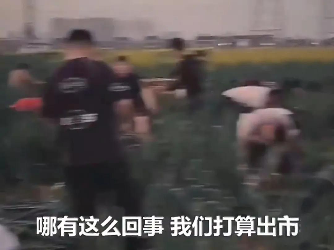 有些人天生就是坏？看不得别人生活好。

有这事情不懂或者不确认的消息，真的不要去