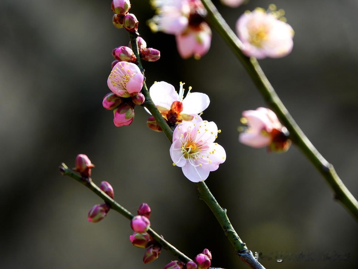 我曾经有一种想法
不是流量不好吗
我就想
哪一天我写二十篇试试
到底结果怎么样