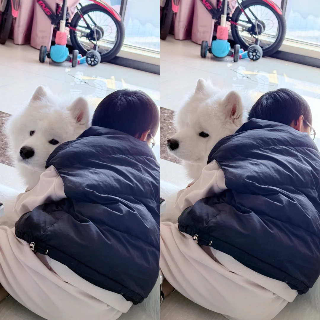狗🐶：他到底什么时候开学啊！