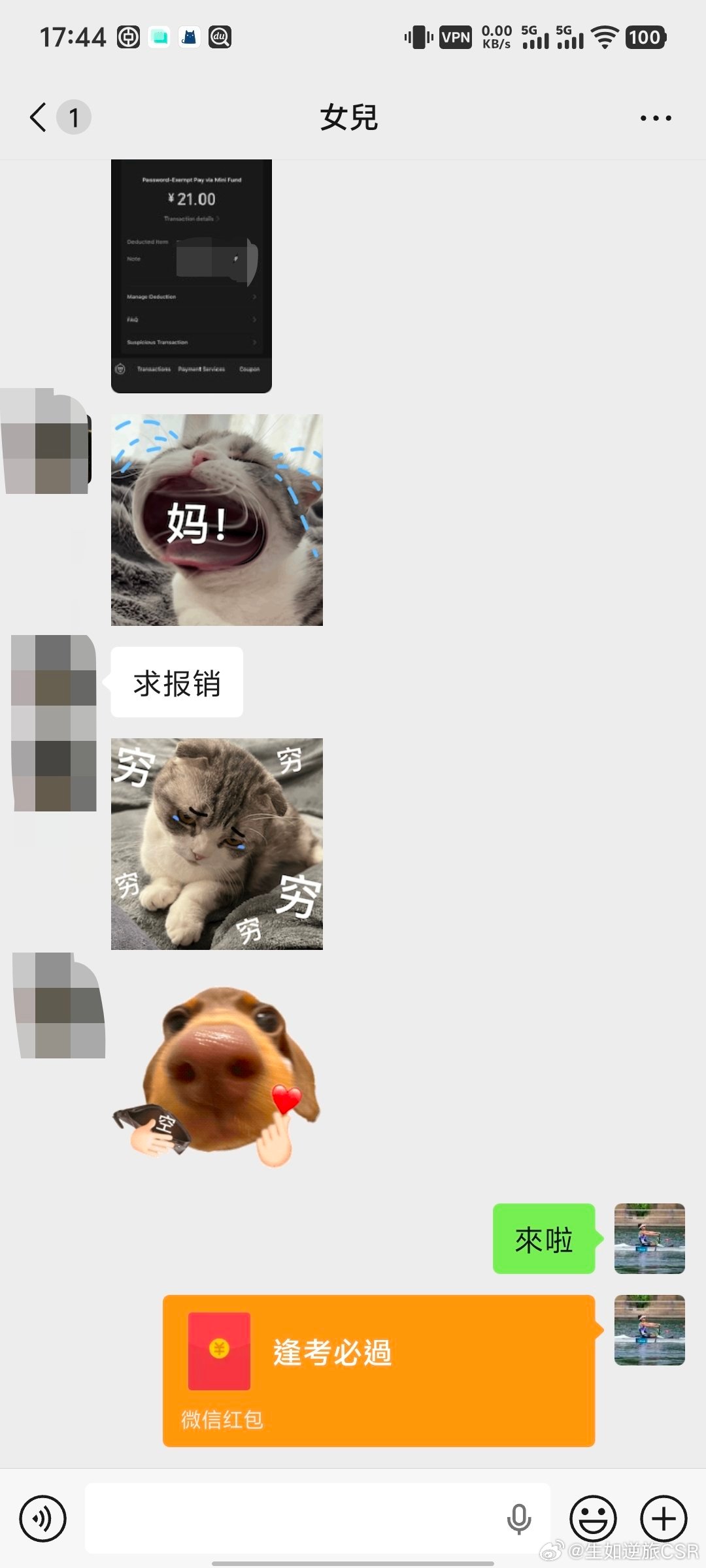 無法拒絕的娃討錢💰的表情符號