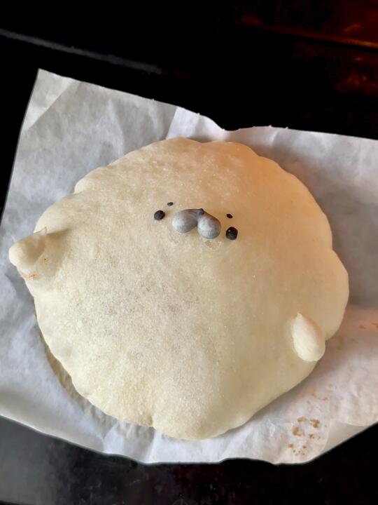 气鼓鼓的海豹pita🫓