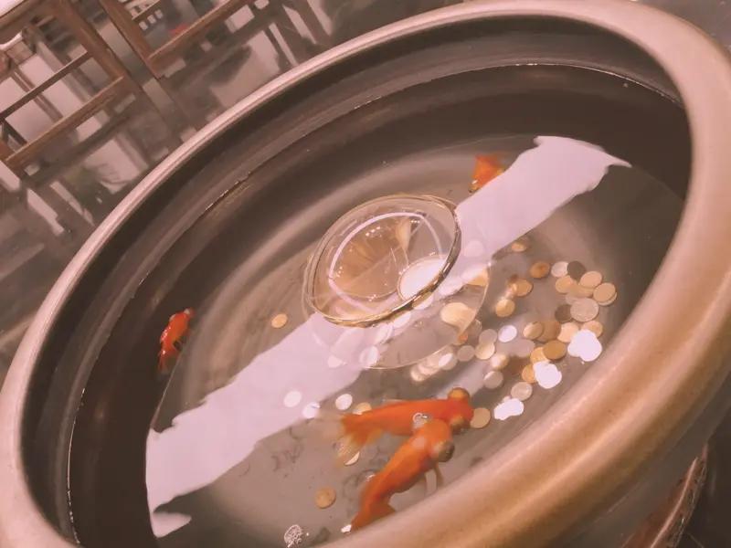 解决孤独的最好良药是什么身边有人，兜里有余，心中无事。