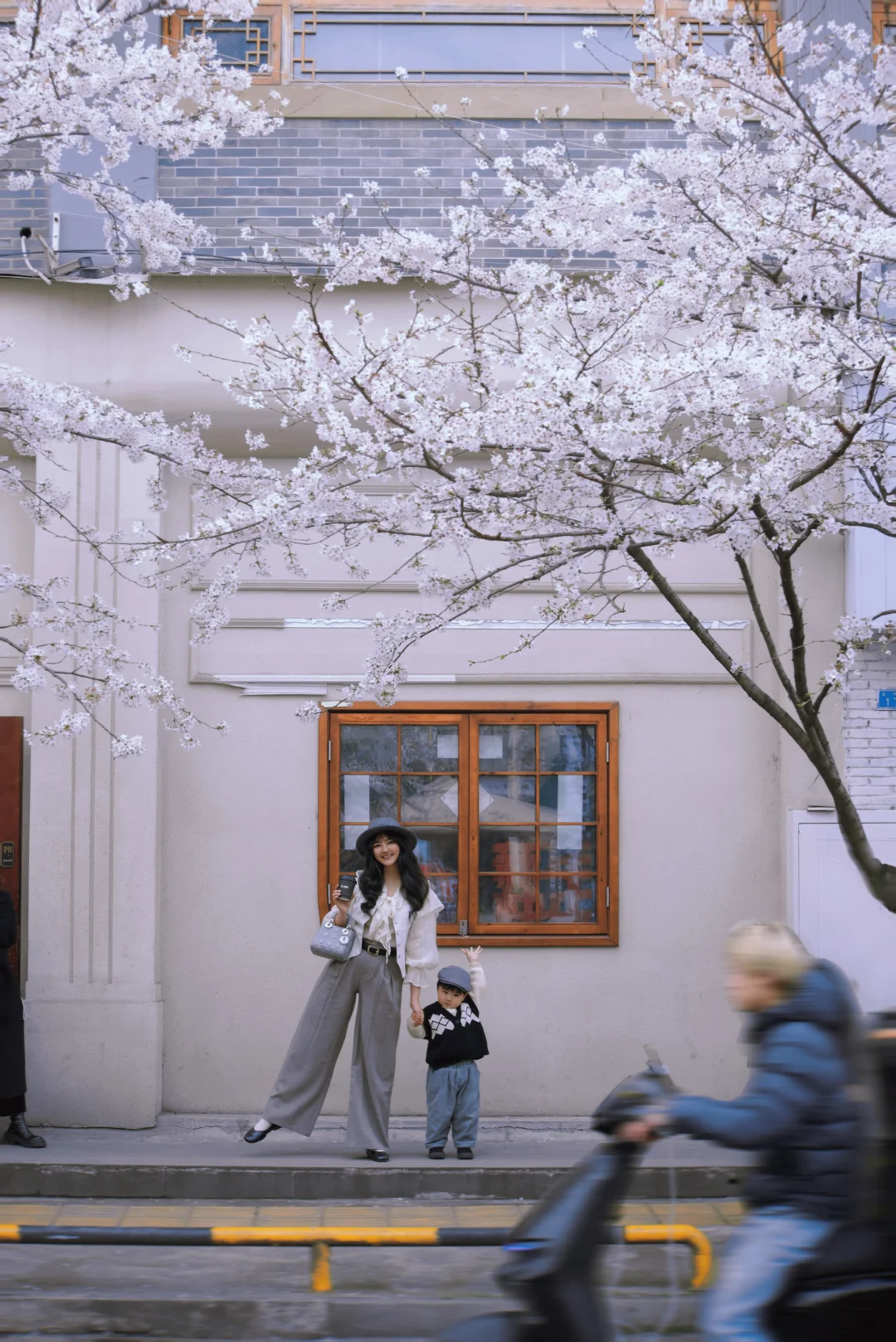 带爸妈和崽去春游-都江堰的樱花大道好韩啊