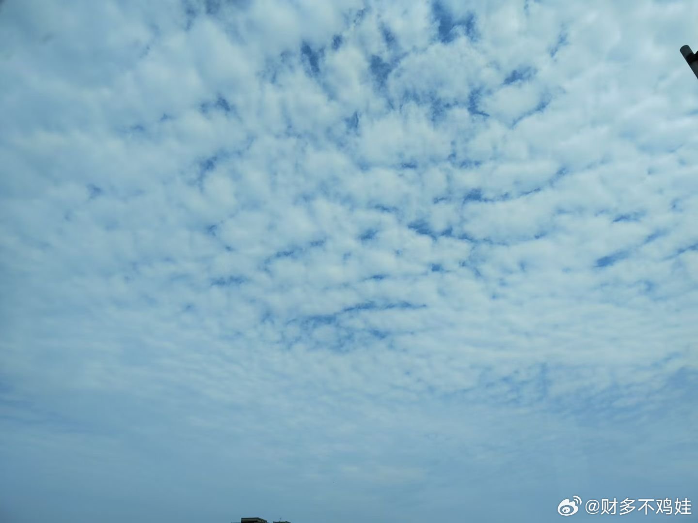 乳状云 特大暴雨这是我今天拍的云，感觉不够乳状云典型，今天白天也没下雨，但是预报