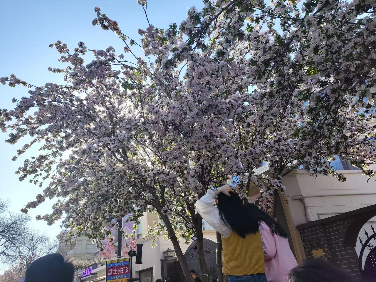 天津五大道：百年风华，历久弥新
 天津五大道，是镌刻着城市记忆的历史街区，承载着
