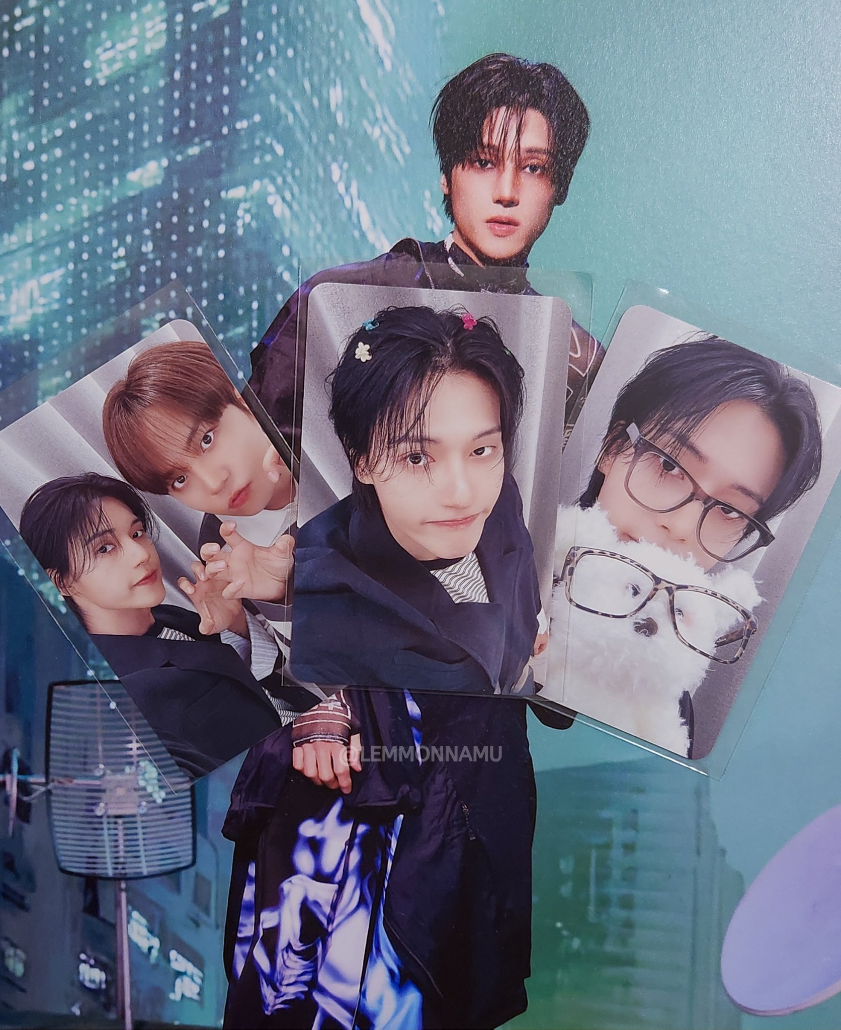 小狗萌 