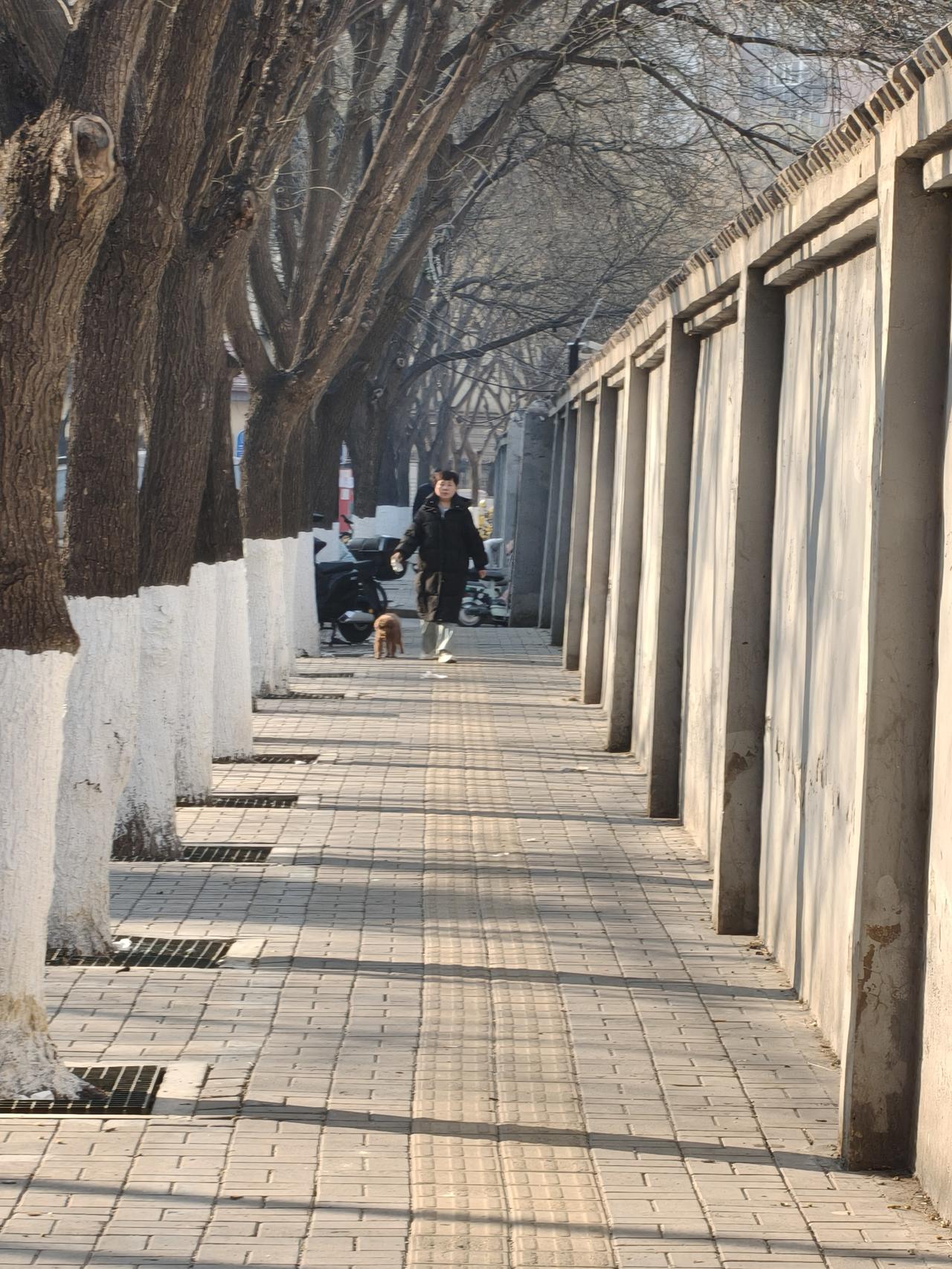 9，3阅兵过后，经历了单位病毒式的审查，我终于发自内心地说，我在北京已经扎下根了