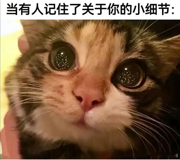 父母一句话心理医生和朋友全白干嘴巴是个好东西，但是有的人会说话 