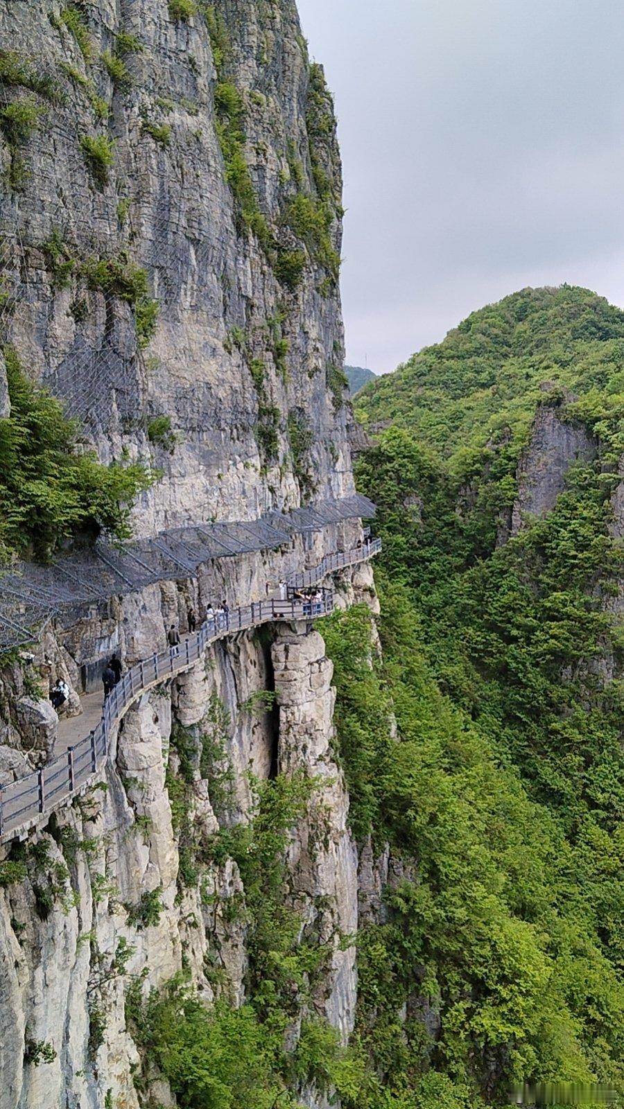 生活不会辜负每一个努力的人。愿你保持热爱，奔赴山海，今天的你，也一定要比昨天更优