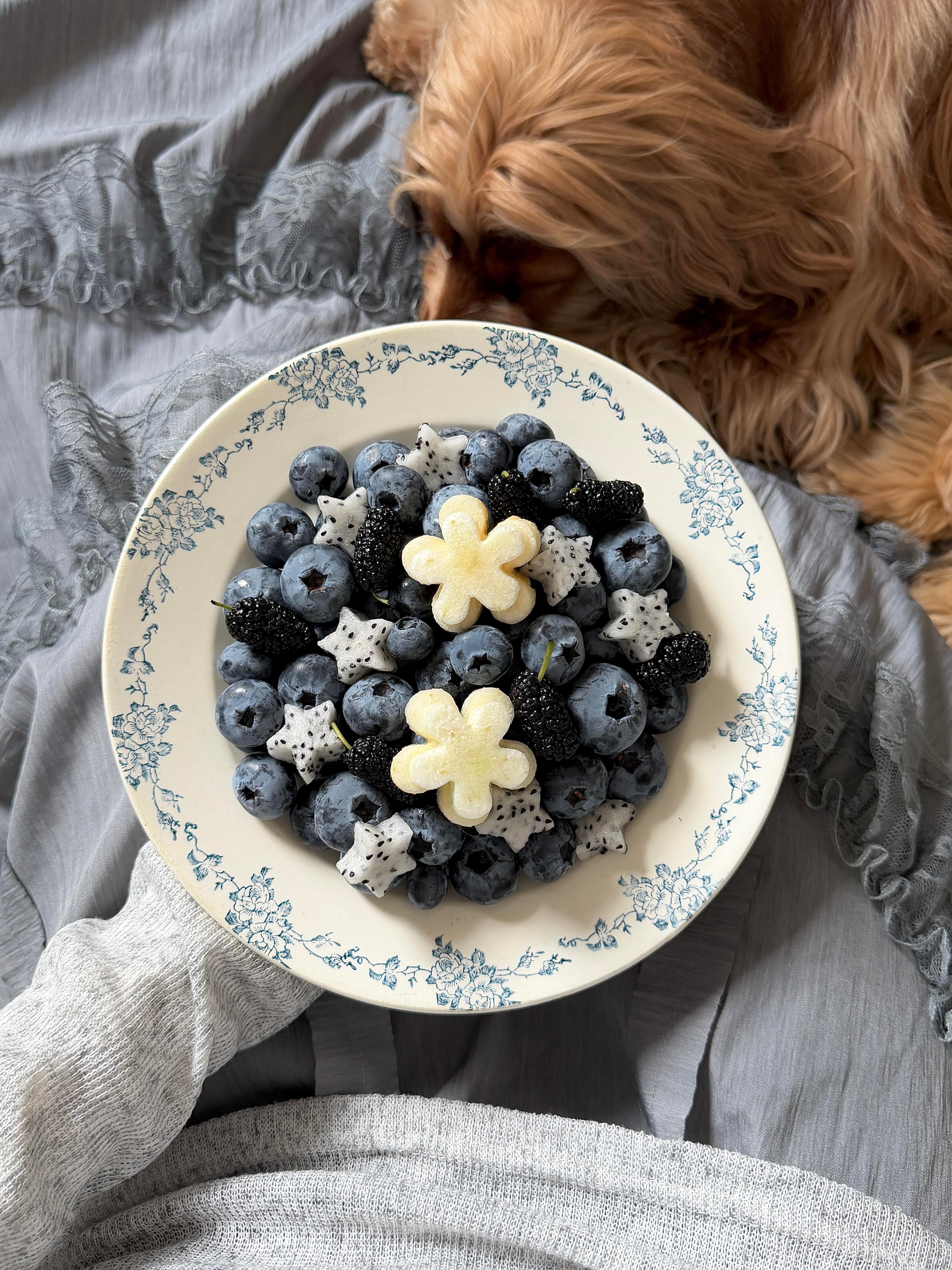 ˚⭒🩶ིྀ. ꔛ🫐⋆蓝莓&火龙果&芭乐&桑葚 