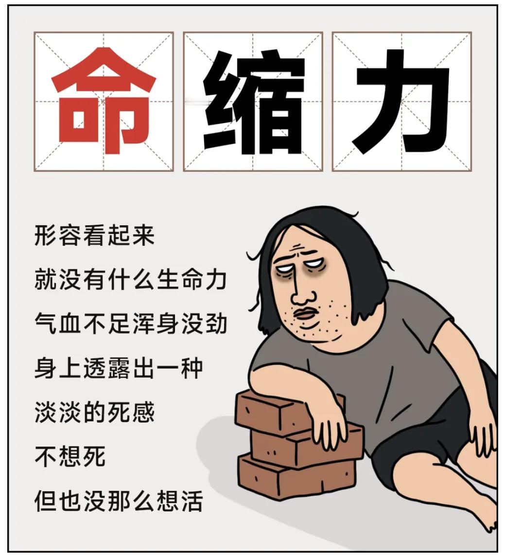 笑死，上了一天班的我