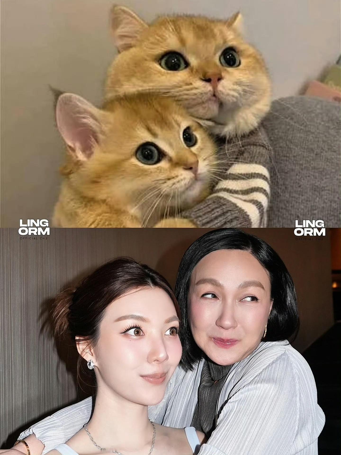 lingorm[超话] 陈奥真的又像小猫又像小狗 ​​​