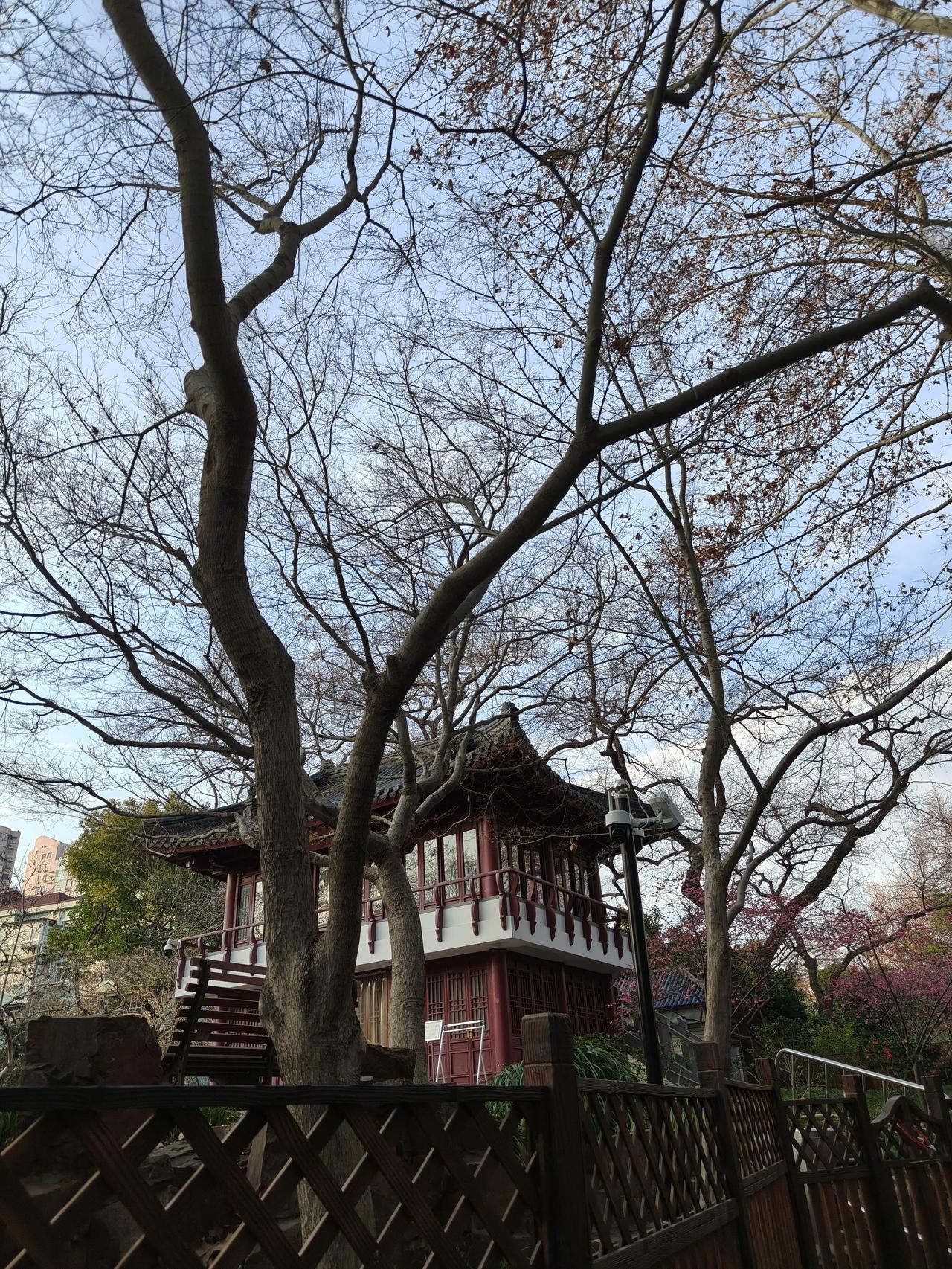 今天还是不虚此行哈～
鲁迅公园去了这么多次，
梅园还是第一次进去呢！
没想到里面