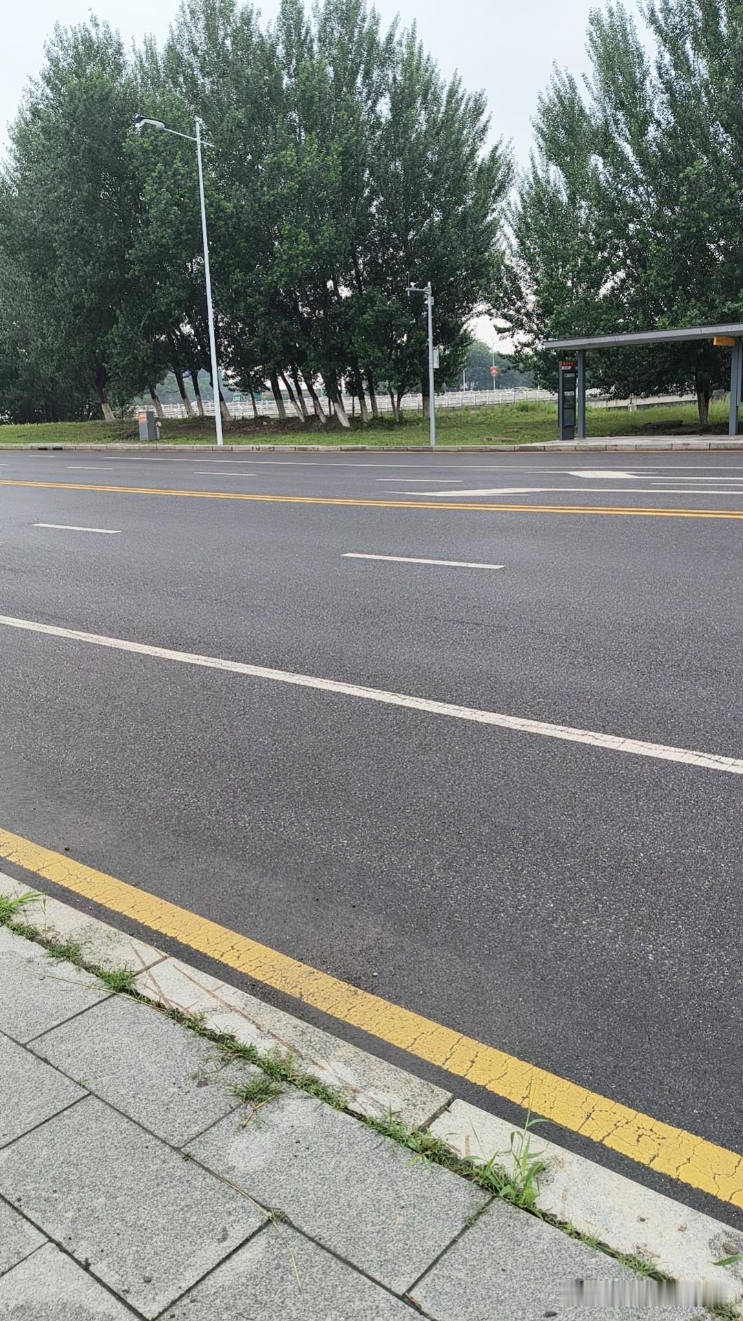 我认为甜粽子