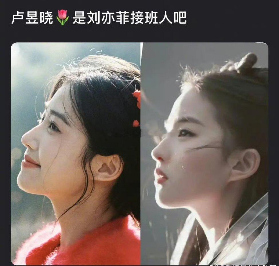 卢昱晓算不算刘亦菲接班人？都是淡颜系美女 