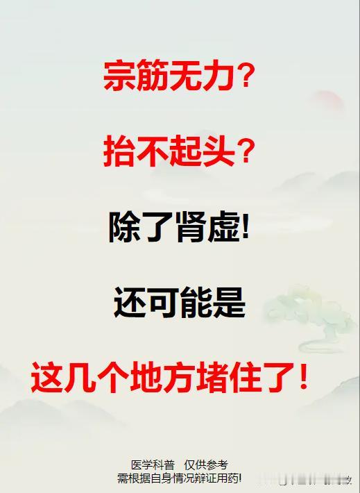 宗筋无力，抬不起头，除了肾虚，还会是这几个地方堵了！

#脾胃##中医##养生#