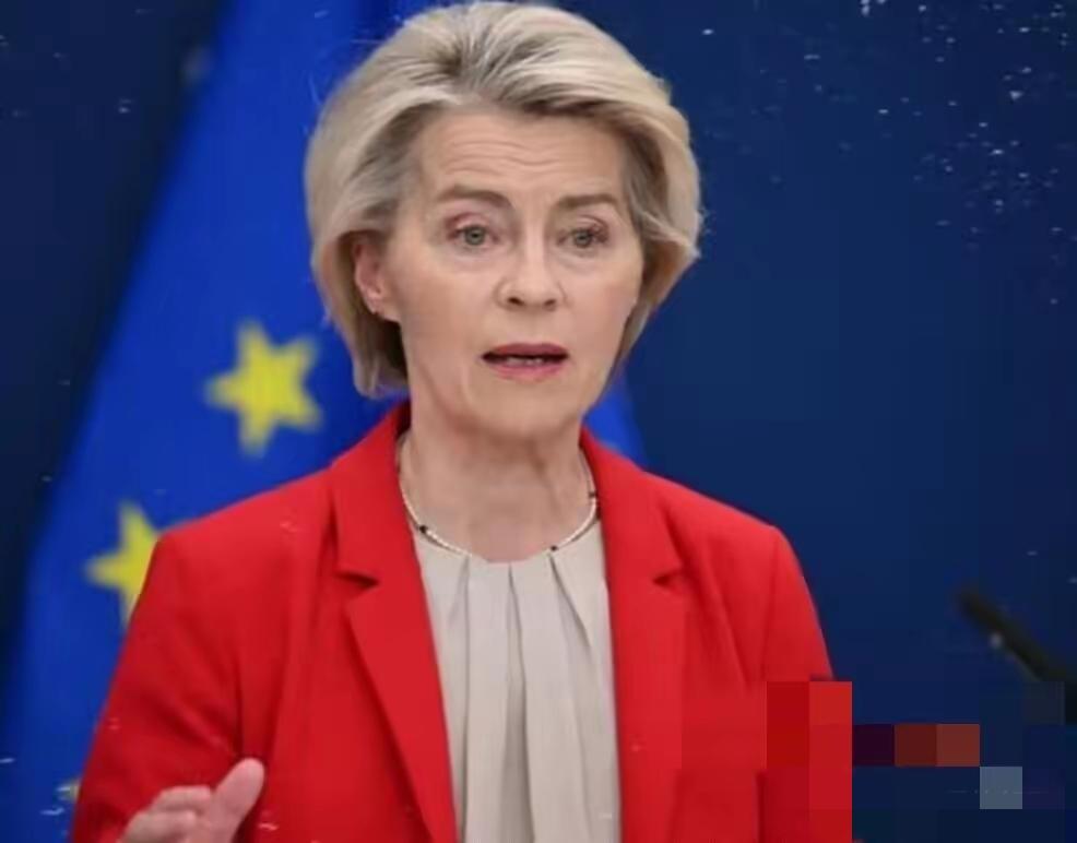 欧盟27国，集体“跪了”！
欧盟这次，意见出奇地一致。二十七个国家，全都举手同意