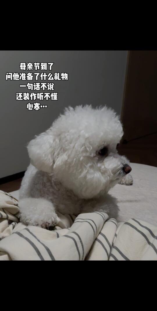 母爱如山、母爱如海、母爱如风