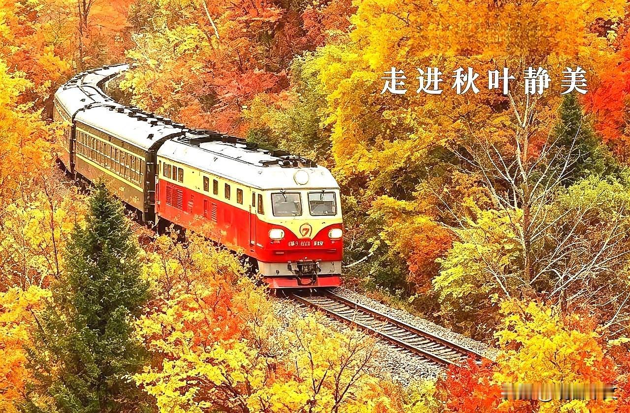 愿许秋风知我意
﻿不负韶华不负己
时序入秋，清风徐来。世间万物褪去盛夏的燥热喧嚣