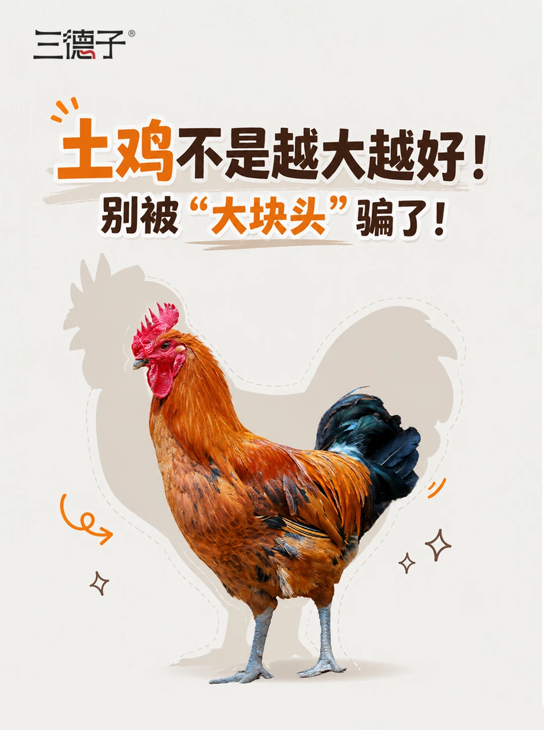 土鸡挑错就是花冤枉钱！别再被大块头骗了