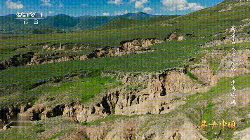 青藏高原有多处远古人类痕迹真的被皮洛遗址的阿舍利手斧美到了！两面打制的工艺，对称