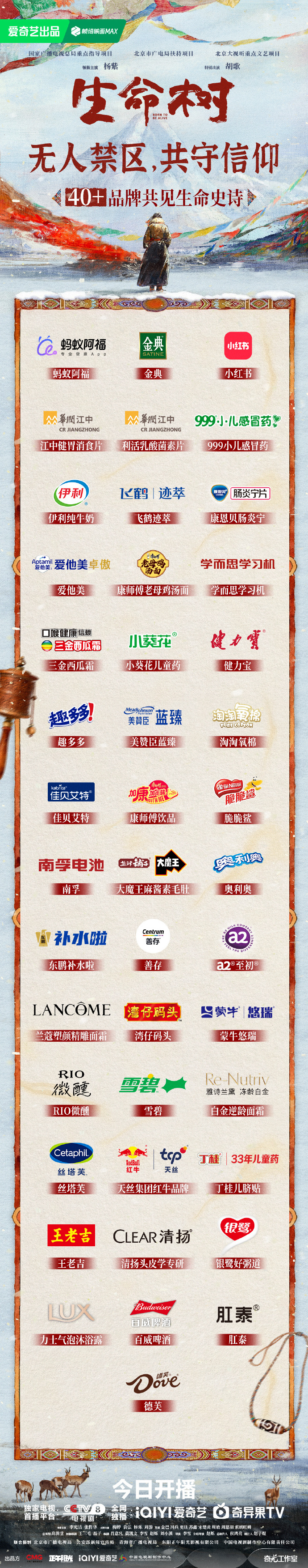 生命树开局40广杨紫的招商能力 生命树开局40广，杨紫的招商能力真的很强啊，谁懂