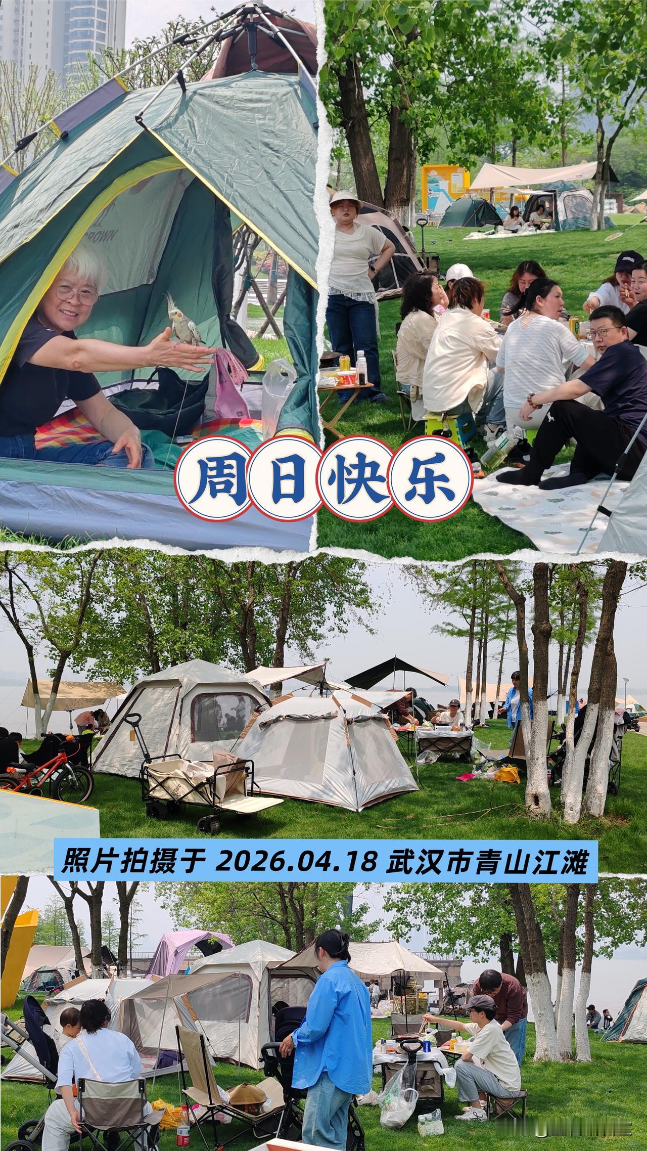 大家早上好，请大家欣赏武汉市青山江滩美景（手机拍摄，原创作品）！🍎🇨🇳🍎