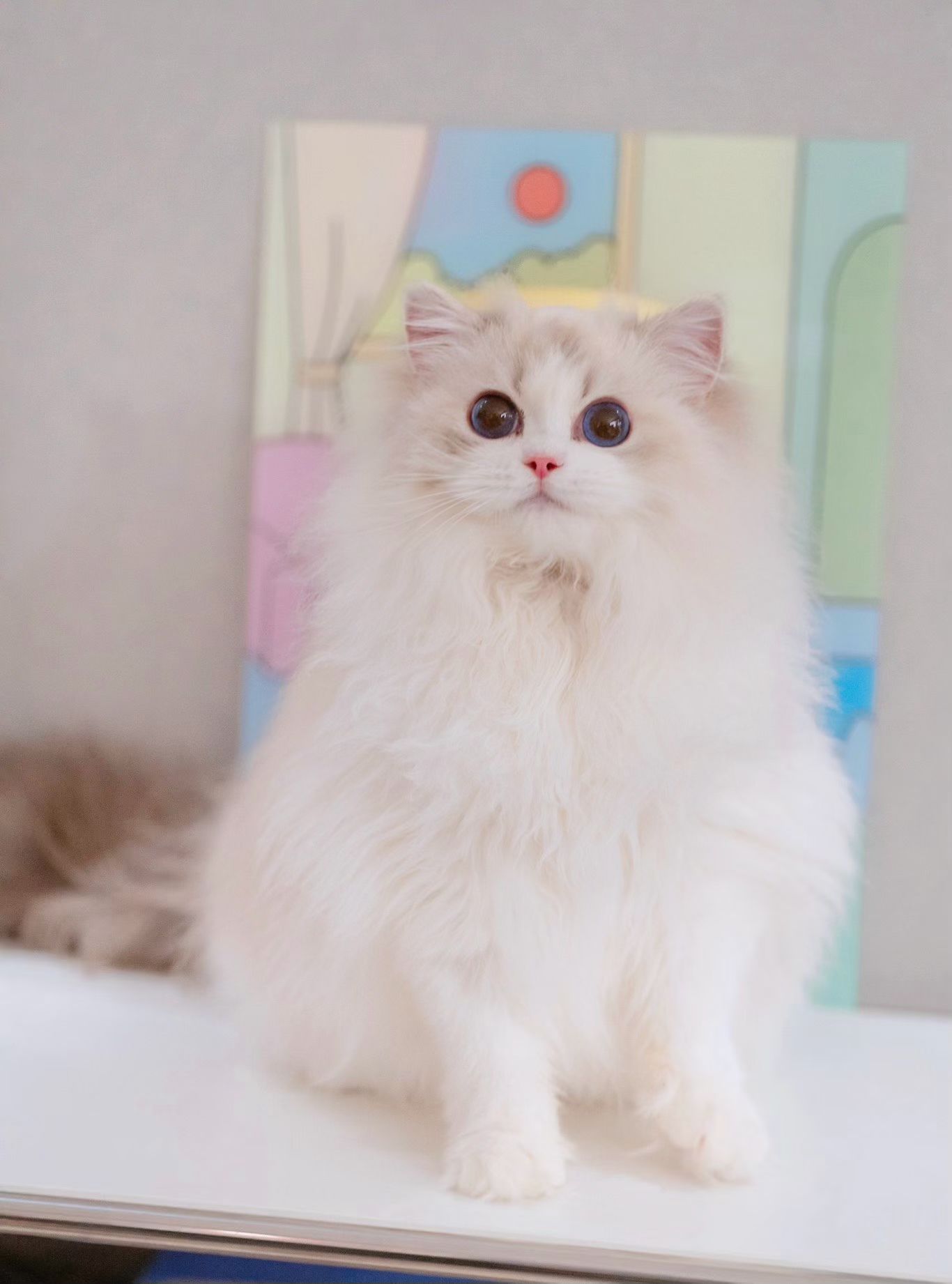 建模脸😍😍😍像个芭比娃娃。要幸福😊 