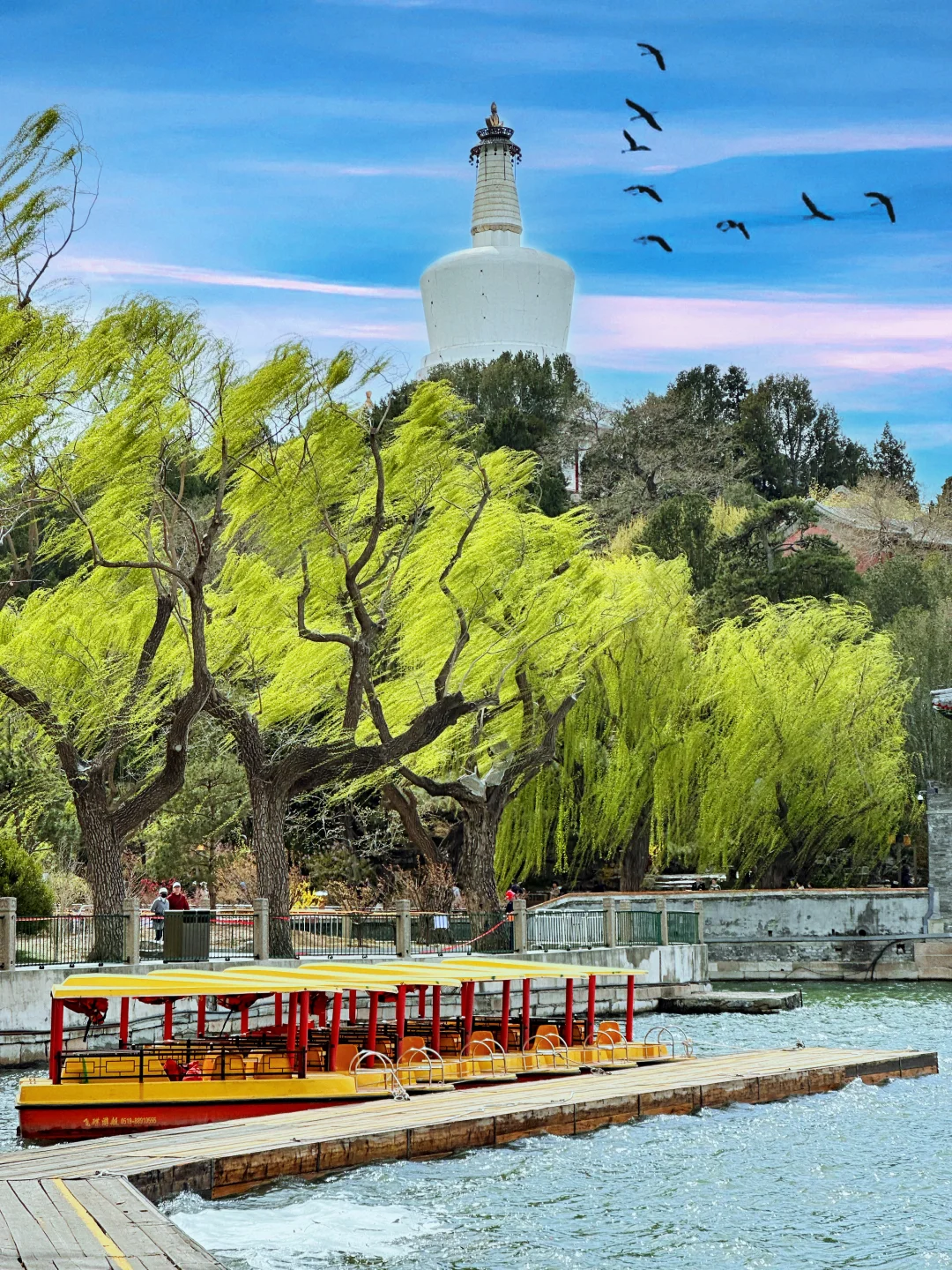 在北京，真的会反复爱上北海的春天！！🍃🍃