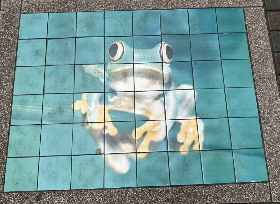 今天在街上看到的地砖，蛮可爱的青蛙