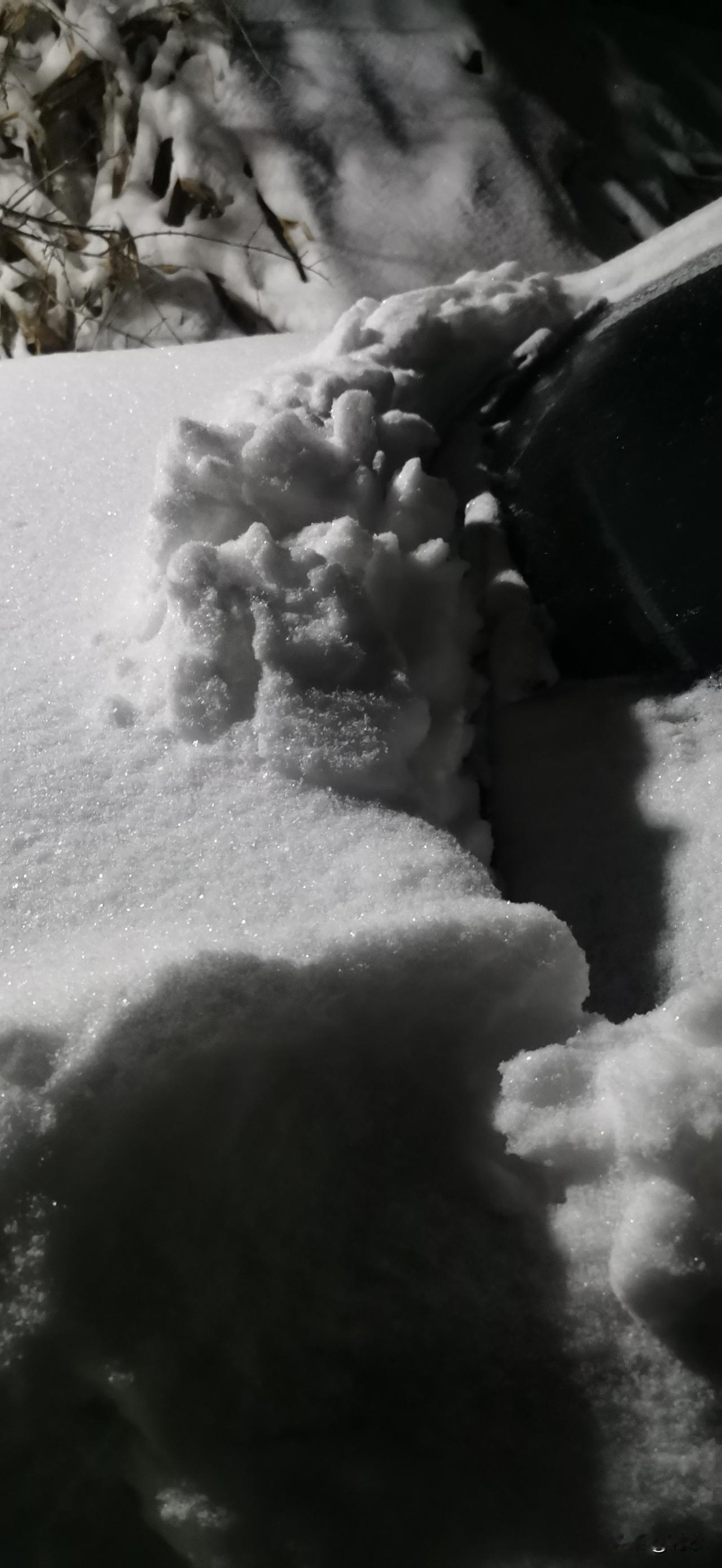 昨晚，鲁西南的雪下得挺大，下半夜雪就停了，凌晨四点多，我听到院子里有除雪的声音，