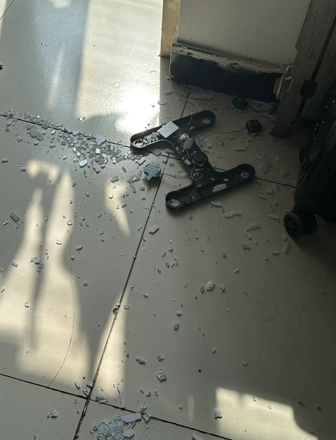 室友把体重秤压爆了 ​​​