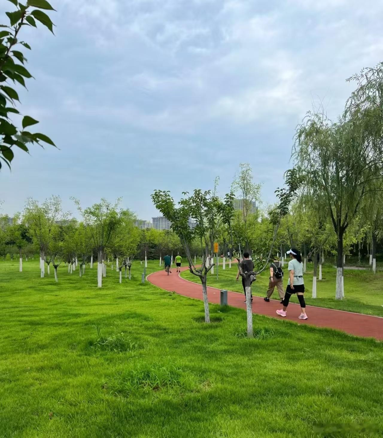 夏季运动出汗多会引发心脏风险吗怎样判定自己是不是过度运动 高温天运动出汗量大，电
