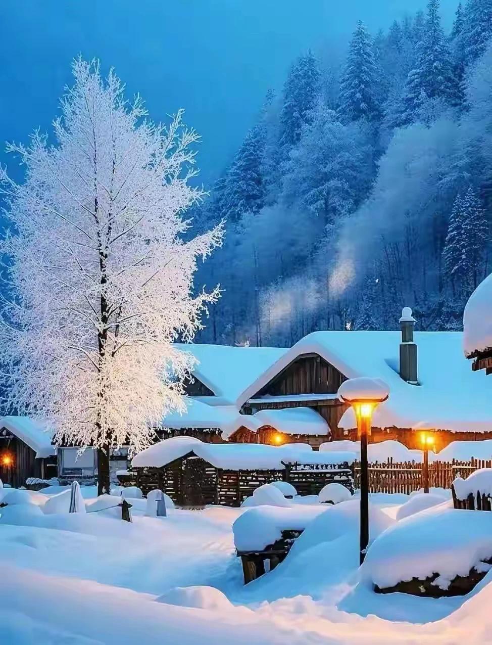 看红梅点绛，白纱掩艳；
青松垂翠，素练缠腰。
一树玲珑，千枝剔透，恍若仙宫落九霄