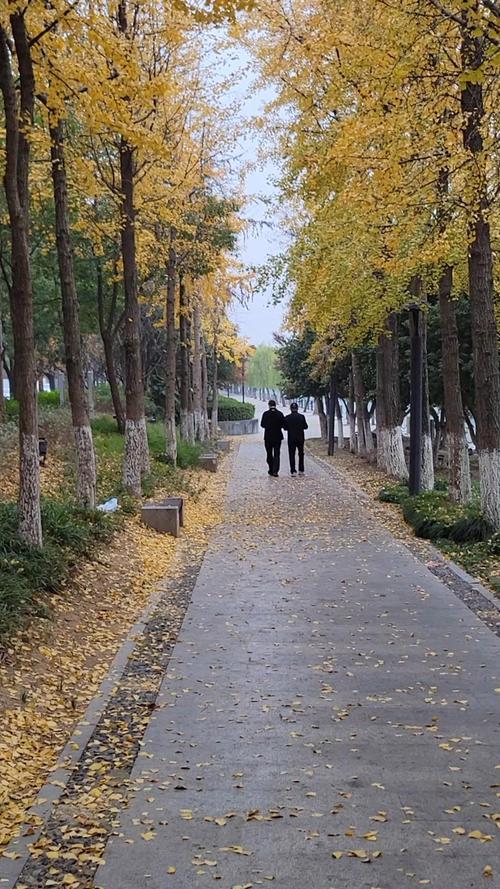 人到晚年，如有异性靠近，不是桃花，是你心里开了光

夜半醒来，身边是几十年的鼾声