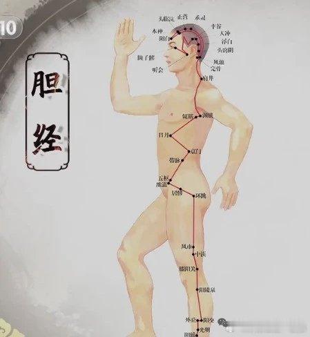 【情绪不好的人，这里最容易堵！】偏头痛、太阳穴跳着疼？胆经堵没堵，摸摸这里就知道