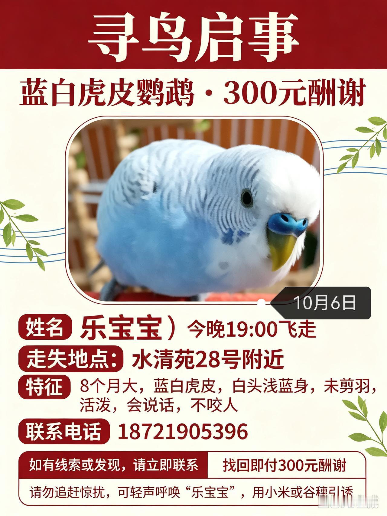 同城寻鹦鹉 宠物走失寻找
